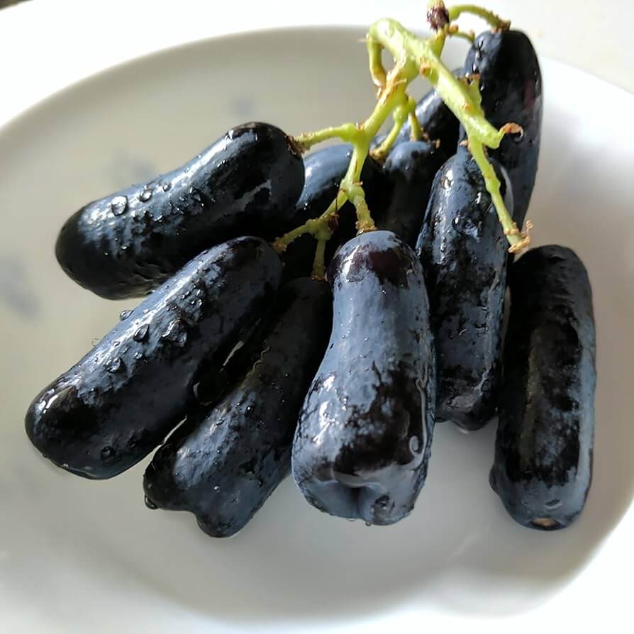 Black Finger Grape Seeds - Heirloom Flower Garden Seeds for Growing