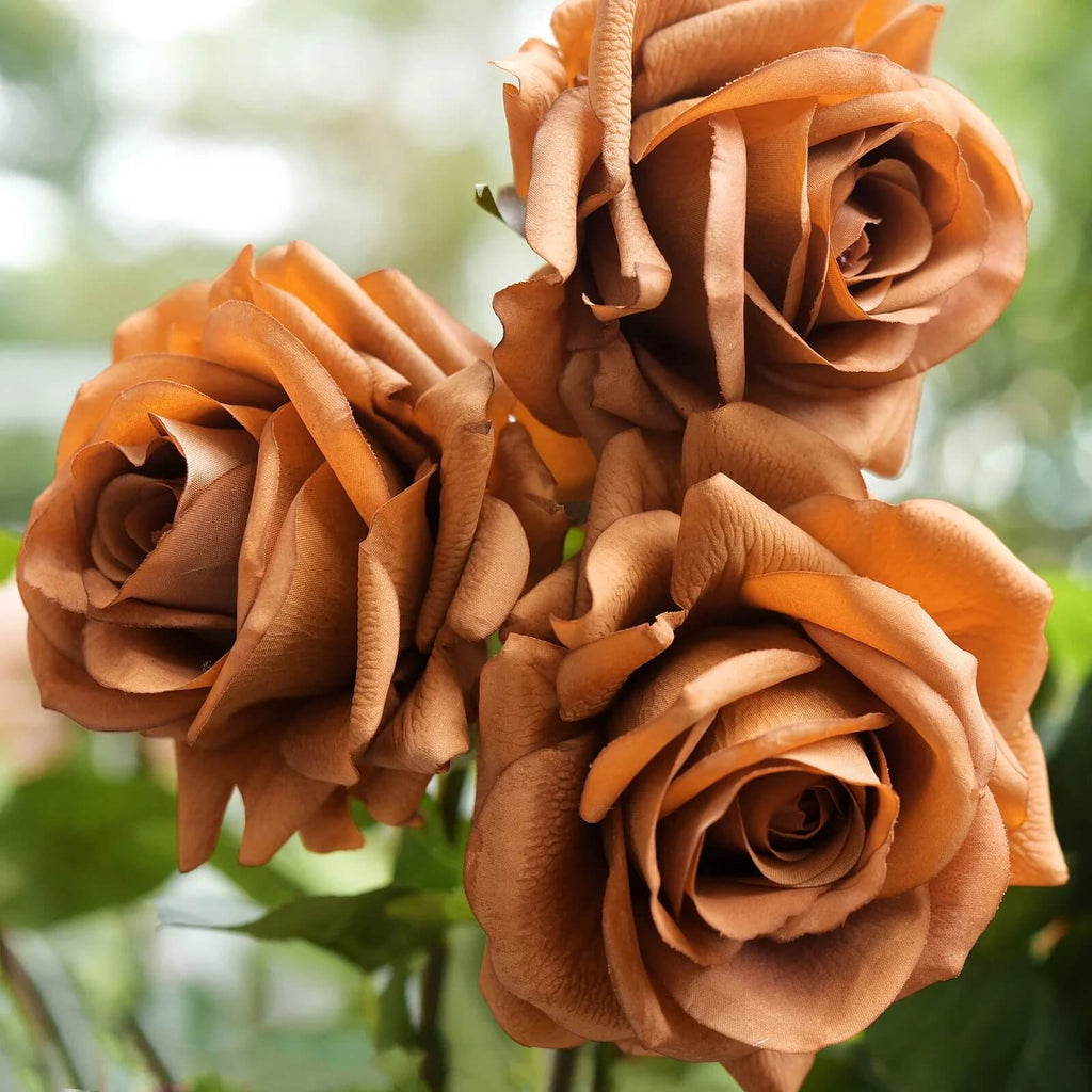 Brown Rosa spp. Seeds - Heirloom Flower Garden Seeds for Growing