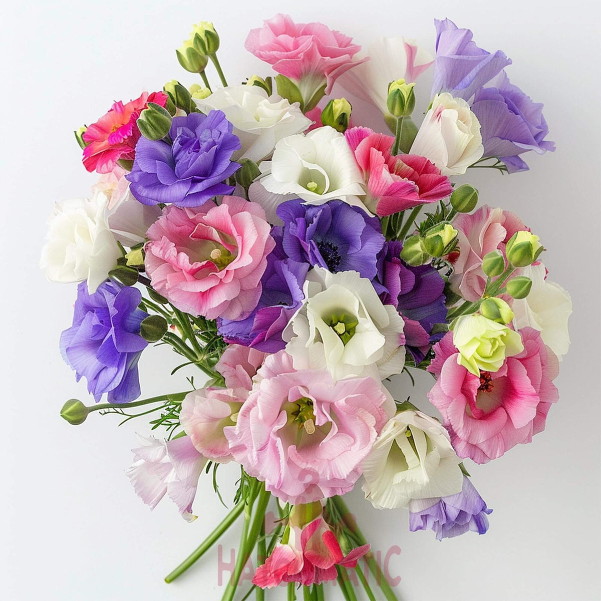 Colorful Mix Lisianthus Seeds - Heirloom Flower Garden Seeds for Growing