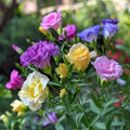 Colorful Mix Lisianthus Seeds - Heirloom Flower Garden Seeds for Growing