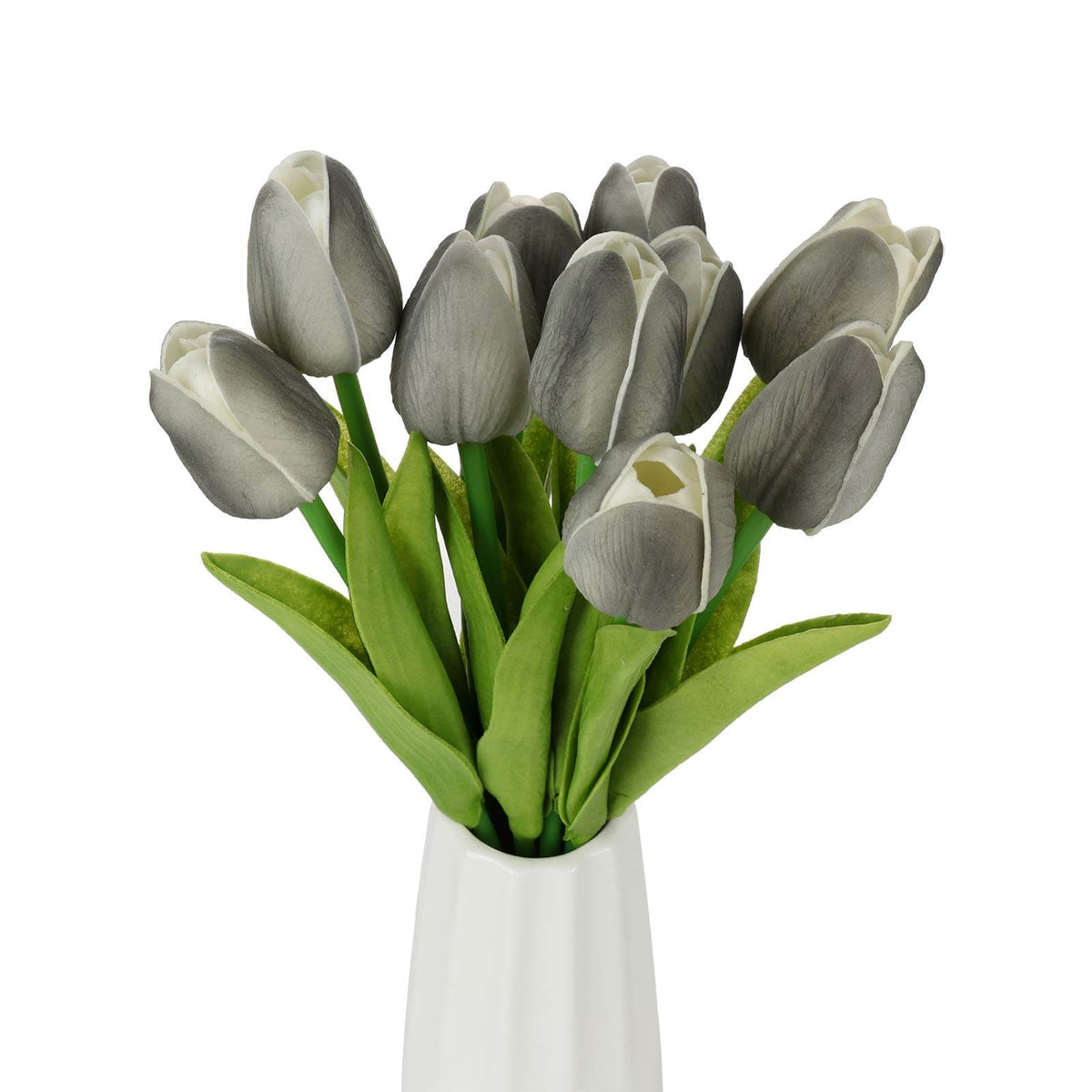 Dark Gray Tulip Seeds - Heirloom Flower Garden Seeds for Growing