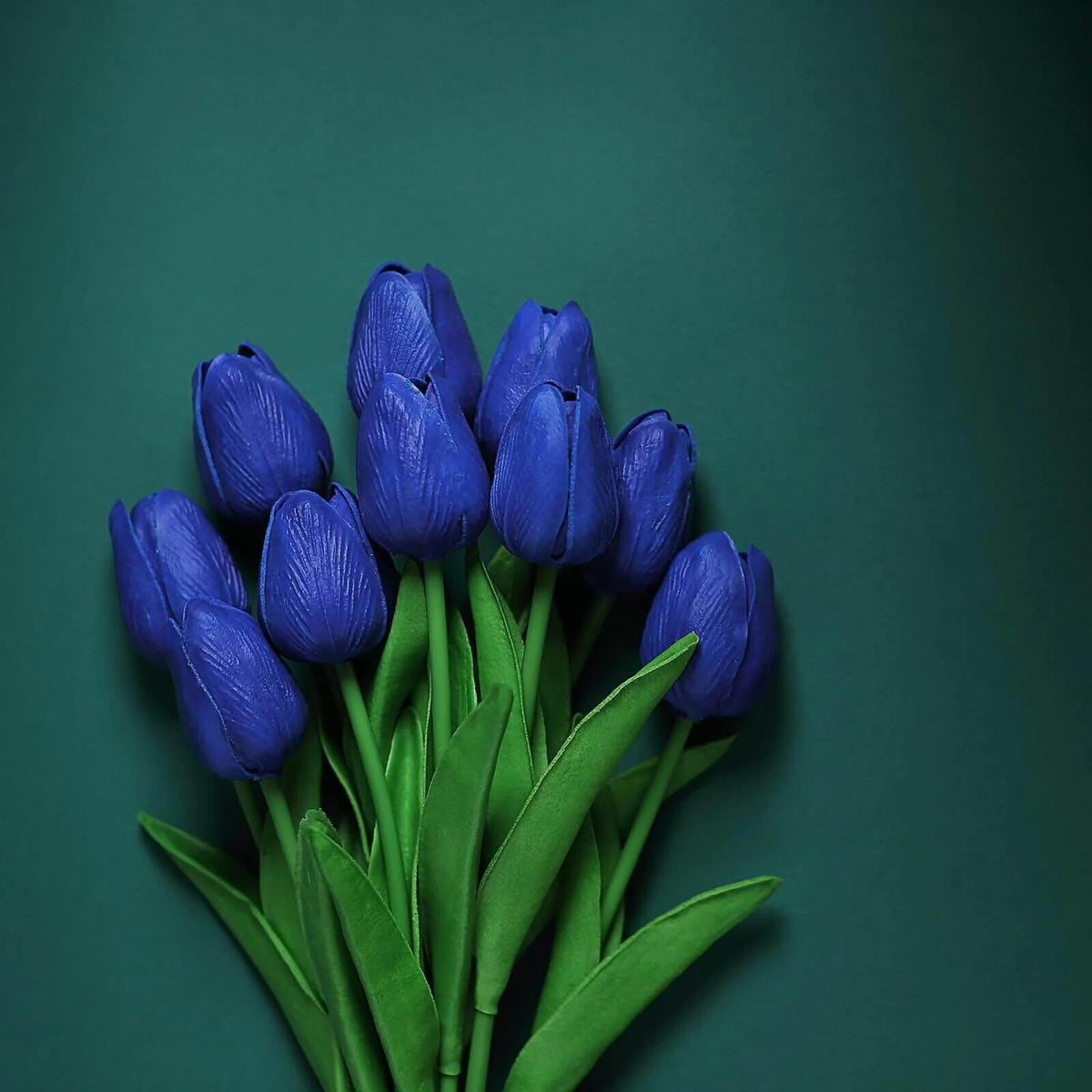 Deep Blue Tulip Seeds - Heirloom Flower Garden Seeds for Growing
