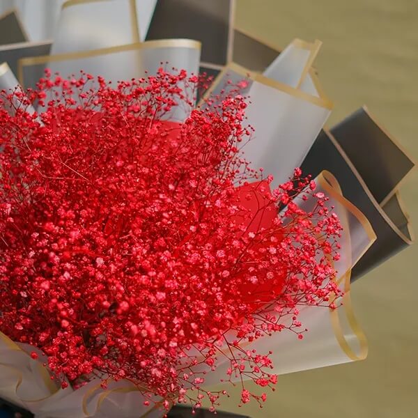 Deep Carmine Gypsophila Seeds - Heirloom Flower Garden Seeds for Growing