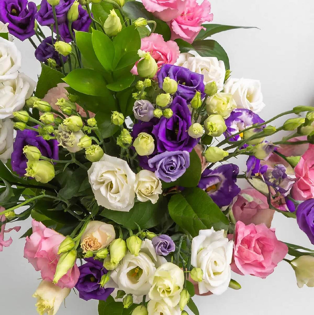 Floral Mix Lisianthus Seeds - Heirloom Flower Garden Seeds for Growing