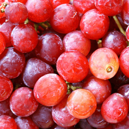 Giant Red Grape Seeds - Heirloom Flower Garden Seeds for Growing