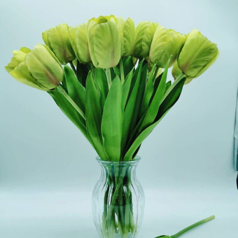 Green Tulip Seeds - Heirloom Flower Garden Seeds for Growing
