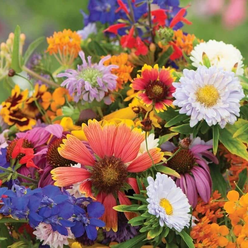 Heirloom Mix Wildflower Seeds - Heirloom Flower Garden Seeds for Growing