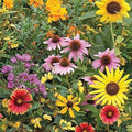 Heirloom Mix Wildflower Seeds - Heirloom Flower Garden Seeds for Growing