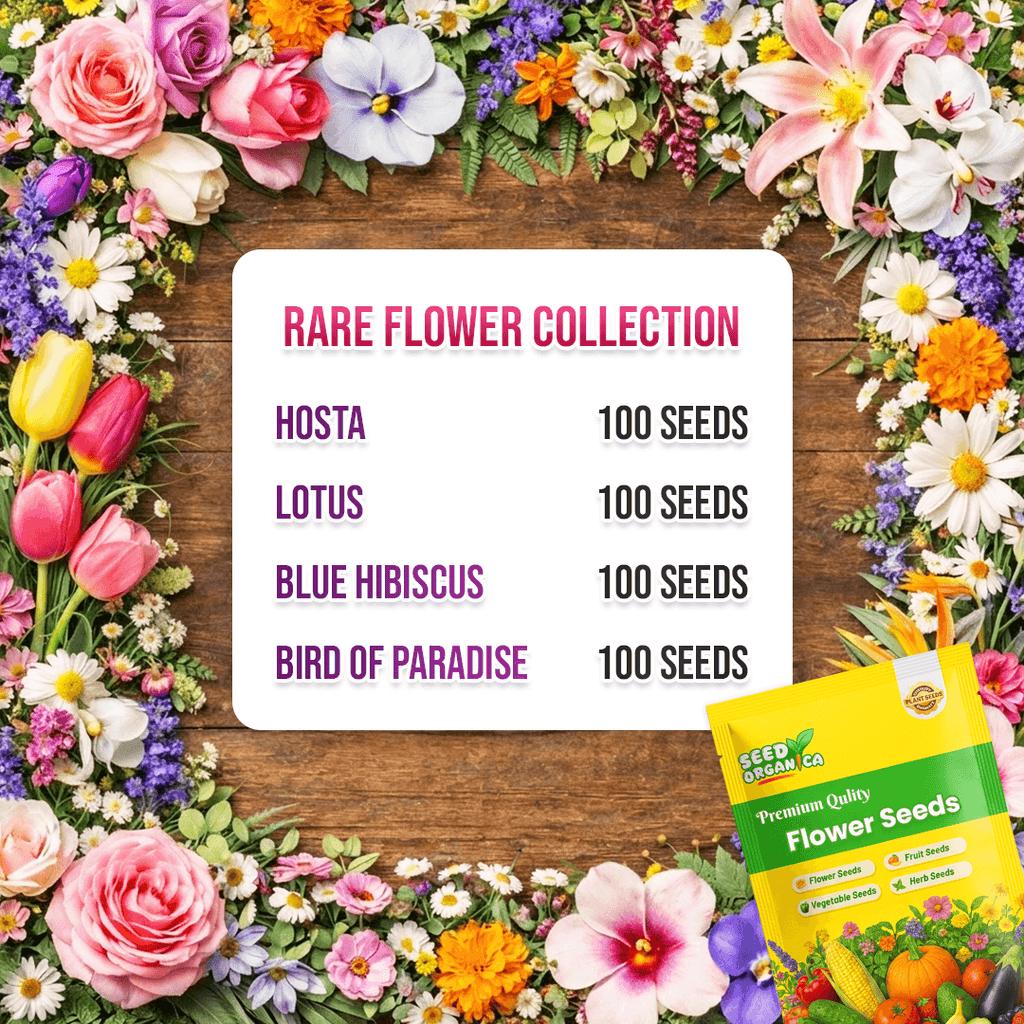 Rare Flower Collection Kit Seeds - Heirloom Flower Garden Seeds for Growing