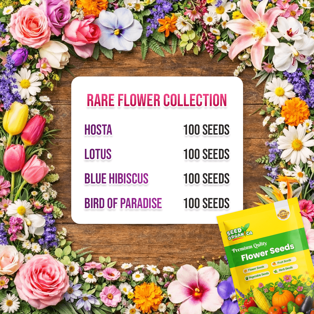 Rare Flower Collection Kit Seeds - Heirloom Flower Garden Seeds for Growing