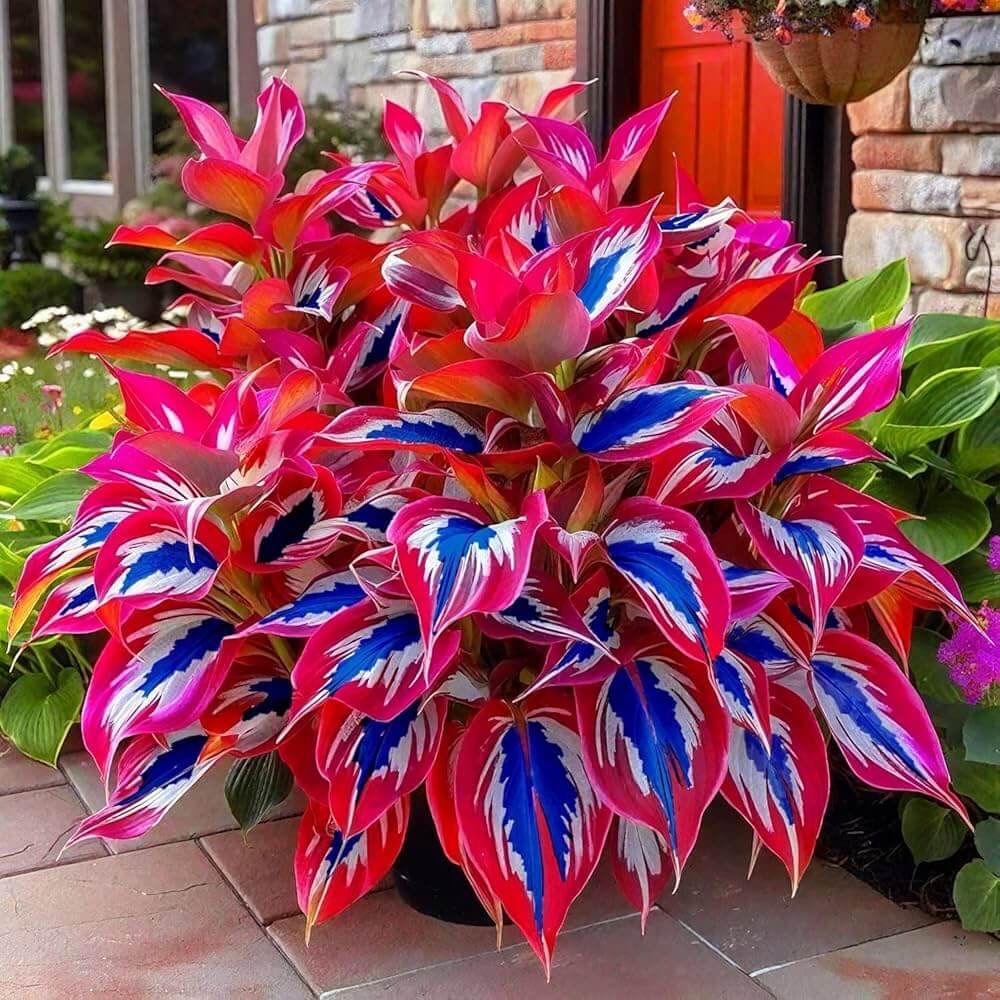 Rare Flower Collection Kit Seeds - Heirloom Flower Garden Seeds for Growing