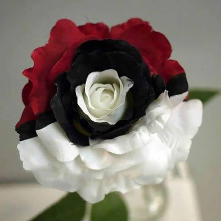 Red, White & Black  Mix Rosa spp. Seeds - Heirloom Flower Garden Seeds for Growing