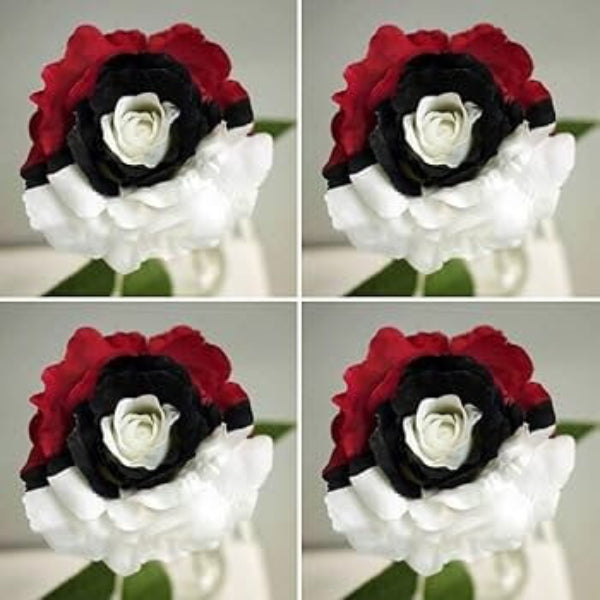Red, White & Black  Mix Rosa spp. Seeds - Heirloom Flower Garden Seeds for Growing