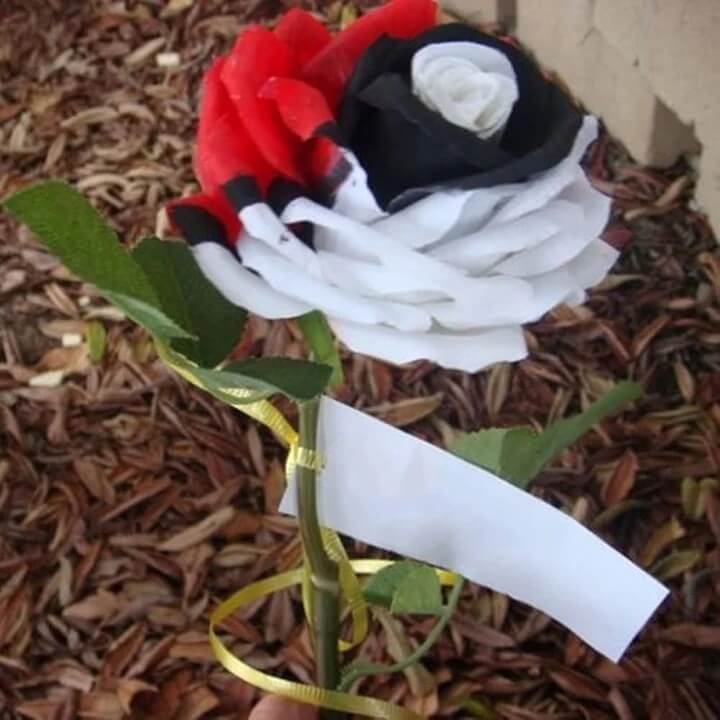 Red, White & Black  Mix Rosa spp. Seeds - Heirloom Flower Garden Seeds for Growing