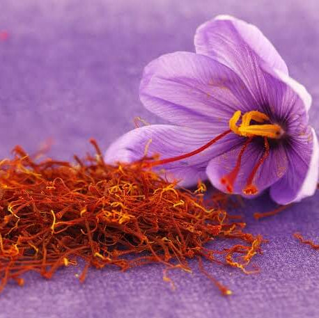 Saffron Spice Plant seeds