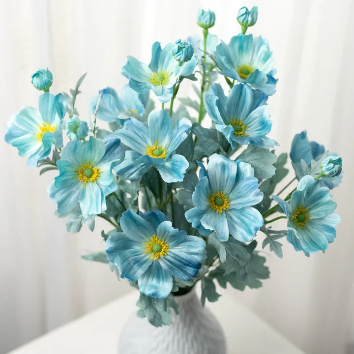 Teal Blue Cosmos Seeds - Heirloom Flower Garden Seeds for Growing