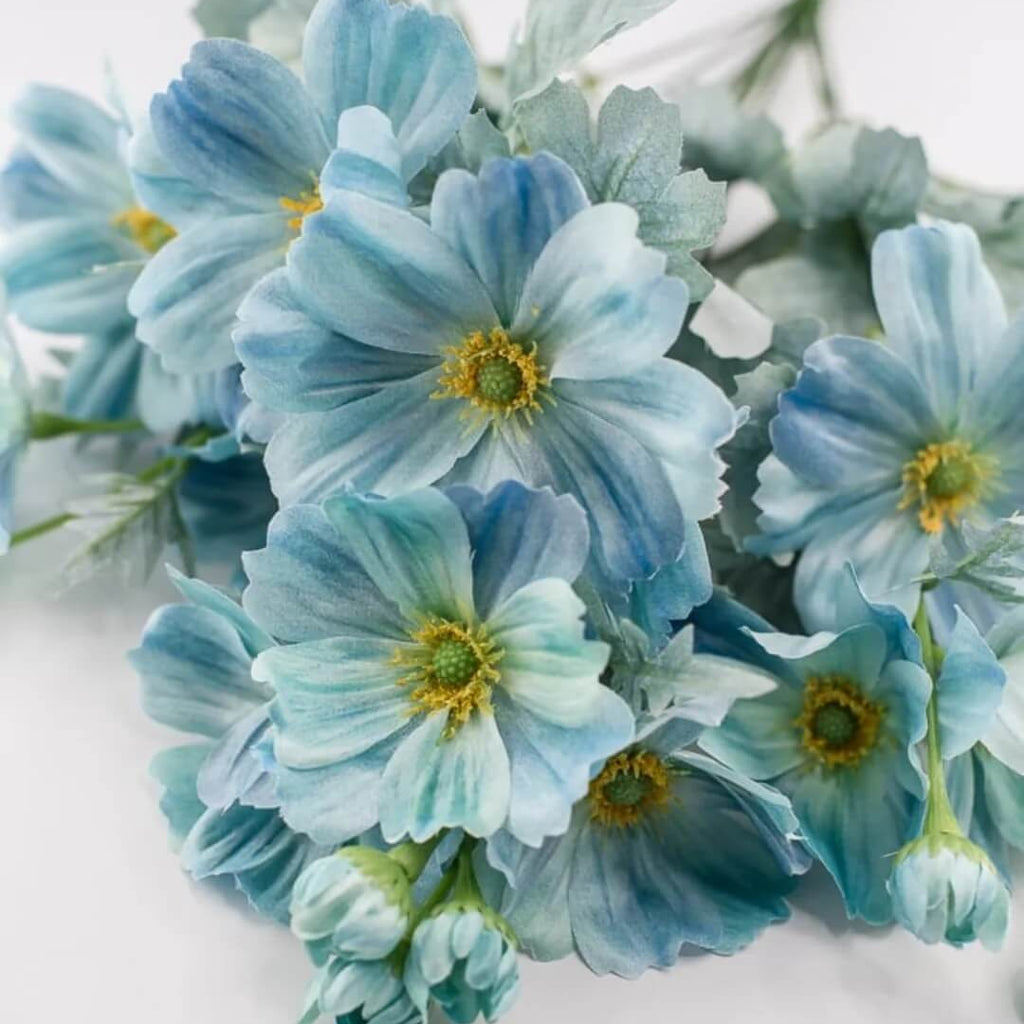 Teal Blue Cosmos Seeds - Heirloom Flower Garden Seeds for Growing