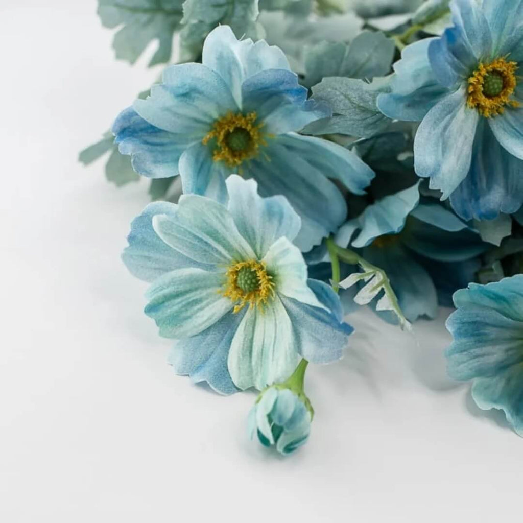 Teal Blue Cosmos Seeds - Heirloom Flower Garden Seeds for Growing